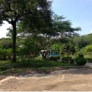 신호농장 이미지