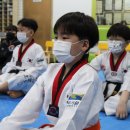 금빛발차기태권도장 이미지