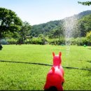 귀촌펜션 이미지