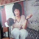 감천1동-12 이미지