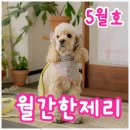 율무용학원 | 기민한제리 5월 일상 - 강아지 생일파티, 독서모임, 클레드파