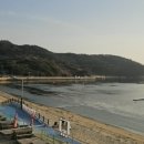 구조라건어물