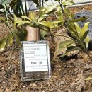 나만의 향수 만들기 | 서울 홍대 향수 공방 닷노트에서 나만의 향수 만들기 체험 후기 | 케플러향수 원데이클래스