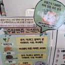 (주)수달앤쥬 | [수원 가볼만한곳] 실내에서 즐기는 동물 체험! 🦙 호매실 &#39;수달앤쥬&#39; 솔직 후기