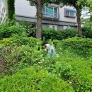 사래울어린이공원 이미지
