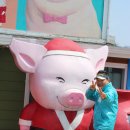 돼지가 웃는다! 이천 돼지박물관 이미지