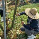 순천농업기술센터 이미지