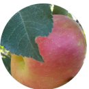 종숙농장 이미지