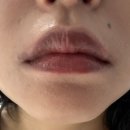탕후루립 틴트 추천 :: 레이디비즈 시티걸 무드 글로시 틴트 버건디루비 | 글로시 틴트 추천