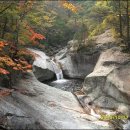 진고개목장 이미지