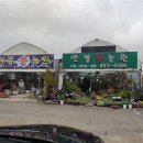 한국화환도매