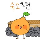 제주집762 이미지