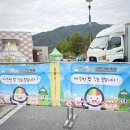 ★2025 김천김밥축제★