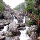 늘빛강가 이미지