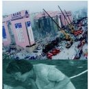 삼풍치킨 - 강남구 언주로 427 | 삼풍치킨