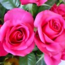 상암초교 이미지