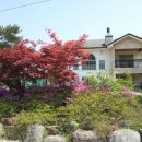 예담소펜션 이미지