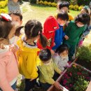 괘법한신유치원 이미지