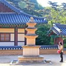 동화사 이미지