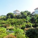 제주허브동산 이미지