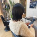 뉴머리하는날