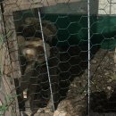 백구세탁소 이미지