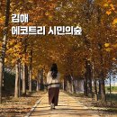 호계로 291번길 | 김해 시민의숲 단풍 주차 메타세콰이어나무 은행나무