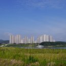 세종보 입구 이미지