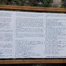 우산생태숲 이미지