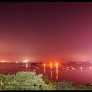 바다와솔숲 이미지