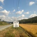 새늘농원 이미지