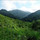 광성운송 이미지