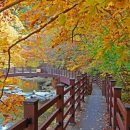 장수온천호텔 이미지