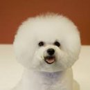 뽀송뽀송 이미지