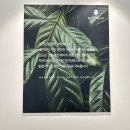 자연앤동물병원 미용실 | 부산 센텀 미용실 에코레비헤어앤스파 24시 연중무휴