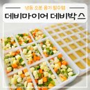 데비마이어 데비박스 냉동 다진마늘보관 필수템 활용 방법 후기