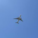 하늘6(유채밭) 이미지