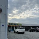 잡수새우 이미지