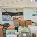 괴산고추축제 | 괴산고추축제 다녀온 후기 먹거리 행사표