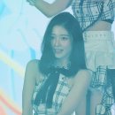 개예쁨 이미지