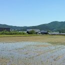 계리경로당 티스토리