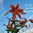 타이밍