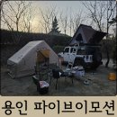 서울 근교 벚꽃 캠핑장 용인 파이브이모션 애견동반 가능 B1 사이트 후기