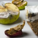 태양식품 이미지