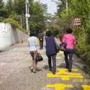 수곡초등학교 이미지