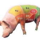 고기가 고기다 이미지