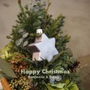 벤자민&데이지 이미지