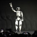 주식회사 좋은현상 이미지