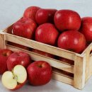 왕대봉 | 아침사과효능, 하루를 바꾸는 놀라운 사과 한 알의 힘