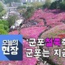 군포철쭉축제 열리는 군포 철쭉동산 이미지